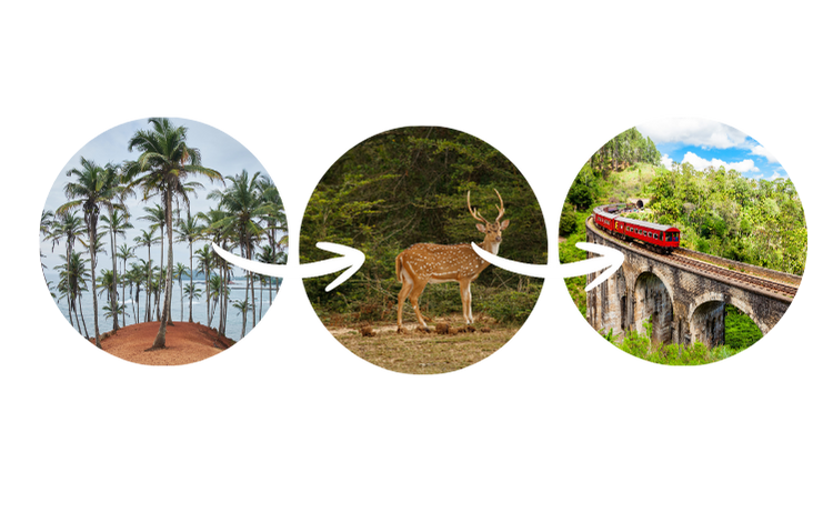 Coastal to Yala to Ella